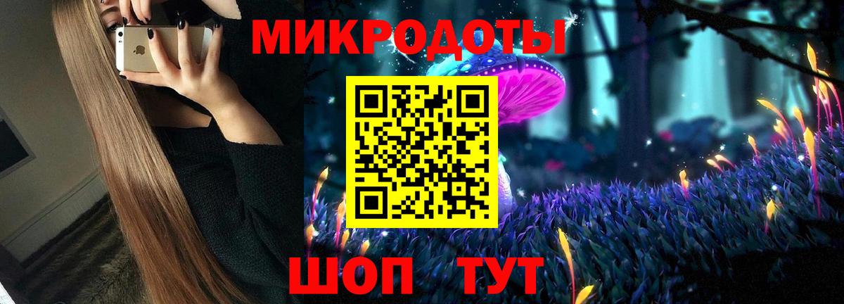 Галлюциногенные грибы Psilocybe  Вход с VPN  Будённовск 